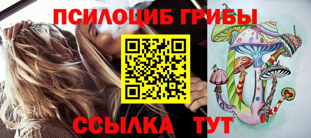 где можно купить наркотик  Вход с VPN  Владивосток  Галлюциногенные грибы прущие грибы 
